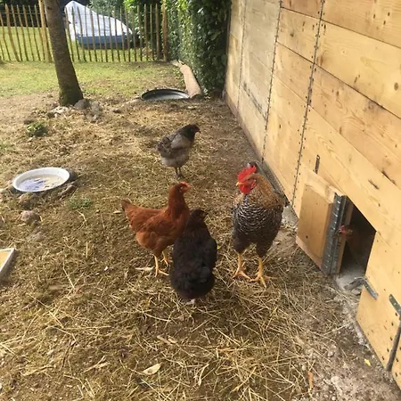 Les Granges בית נופש