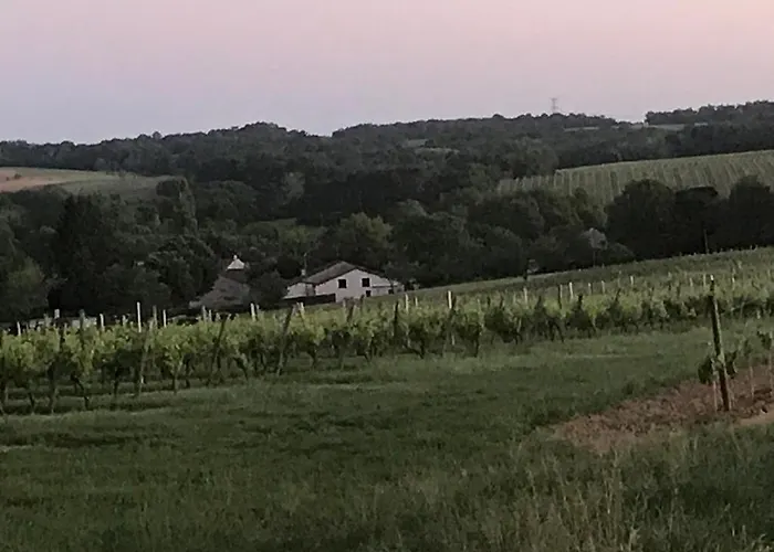 Les Granges Les Lèves-et-Thoumeyragues